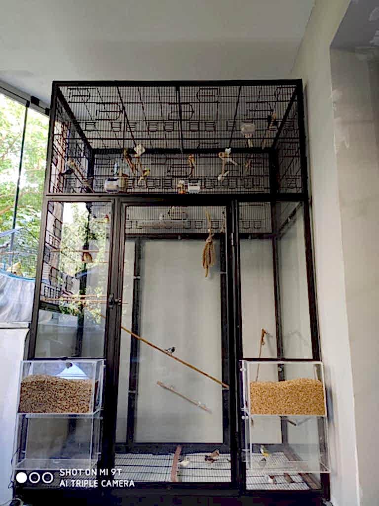 kuş salması xylanderovith.shop